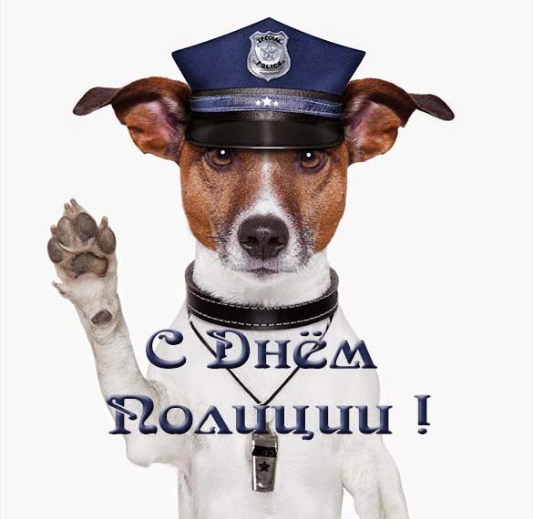 День Полиции 2021 Смешные Поздравления