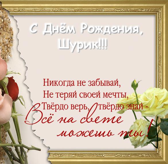 Поздравления С Днем Рождения Александр Владимировича