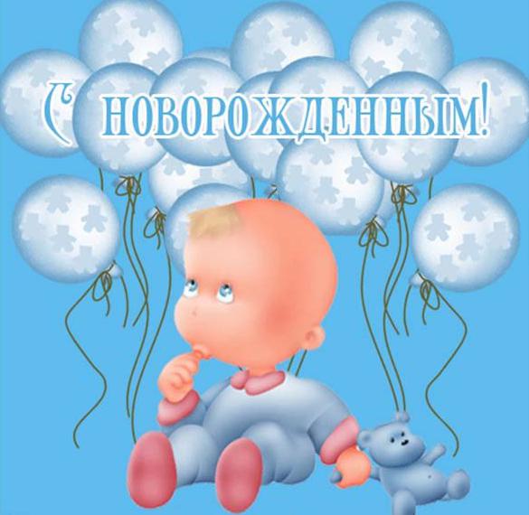 Поздравление От Путина С Рождением Внука