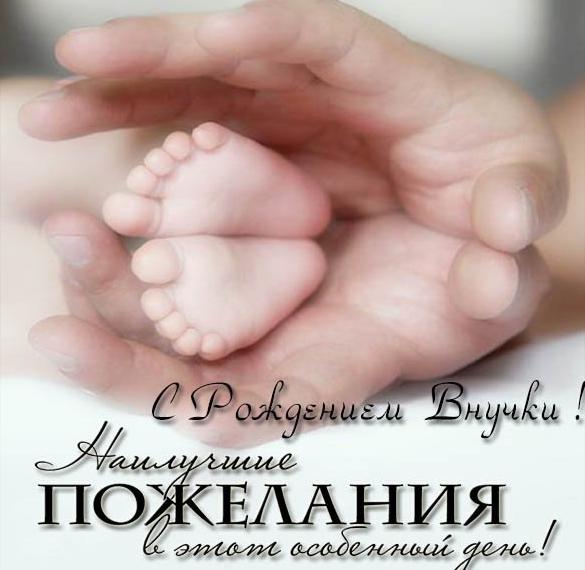 Поздравление С Рождением Правнучки Для Бабушки