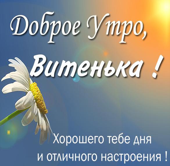 Картинка доброе утро Витенька