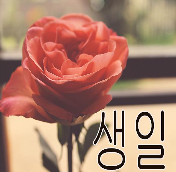 Открытка ко дню рождения на корейском языке