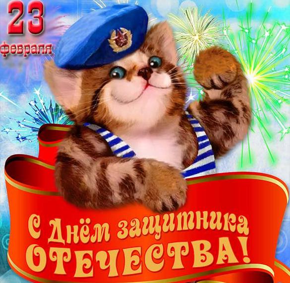 Открытка на 23 февраля с котом