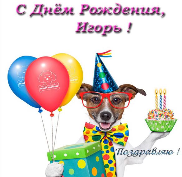 Прикольная электронная открытка с днем рождения Игорь