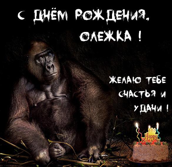 Прикольная открытка с днем рождения Олежка