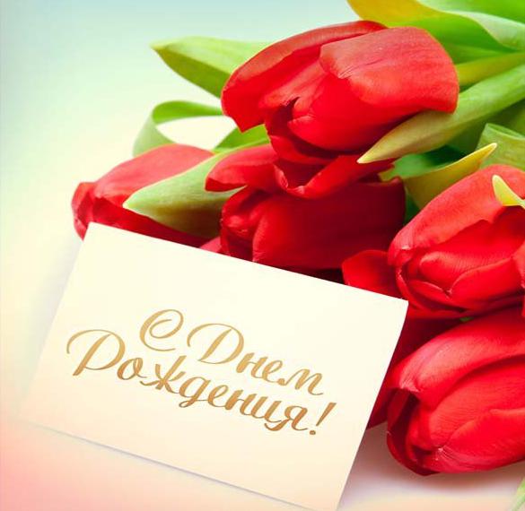 Красивая открытка с днем рождения женщине с тюльпанами