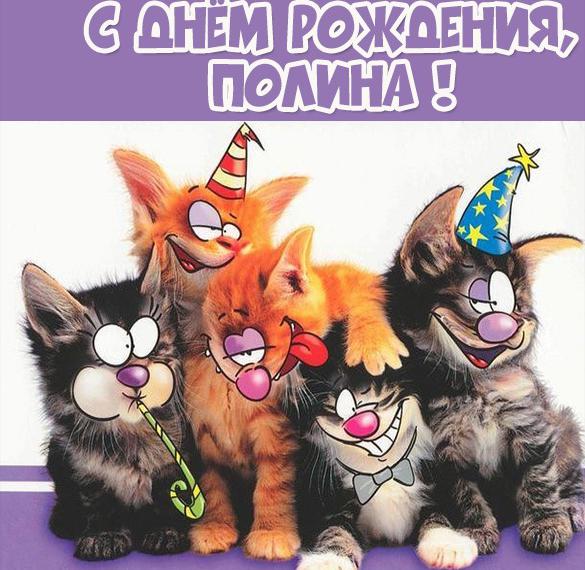 Прикольная открытка с днем рождения Полина