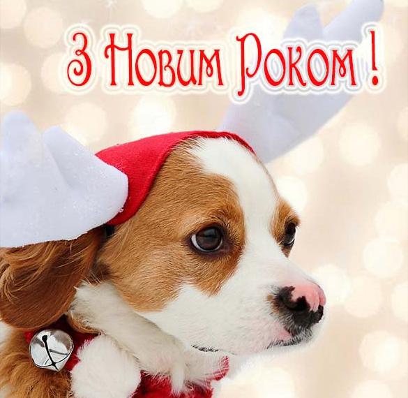 Украинское приветствие с Новым Годом в прикольной открытке