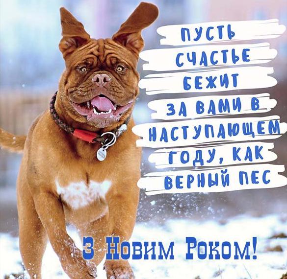 Смешное поздравление с Новым Годом в украинской электронной открытке